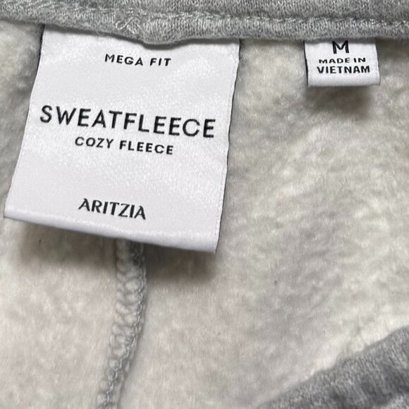 Aritzia Cozy Sweatfleece Mega Cargo™ Sweatpant - Picture 8 of 10